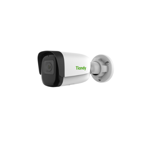 TİANDY 2MP IP Sabit lens Motorize Dome Kamera